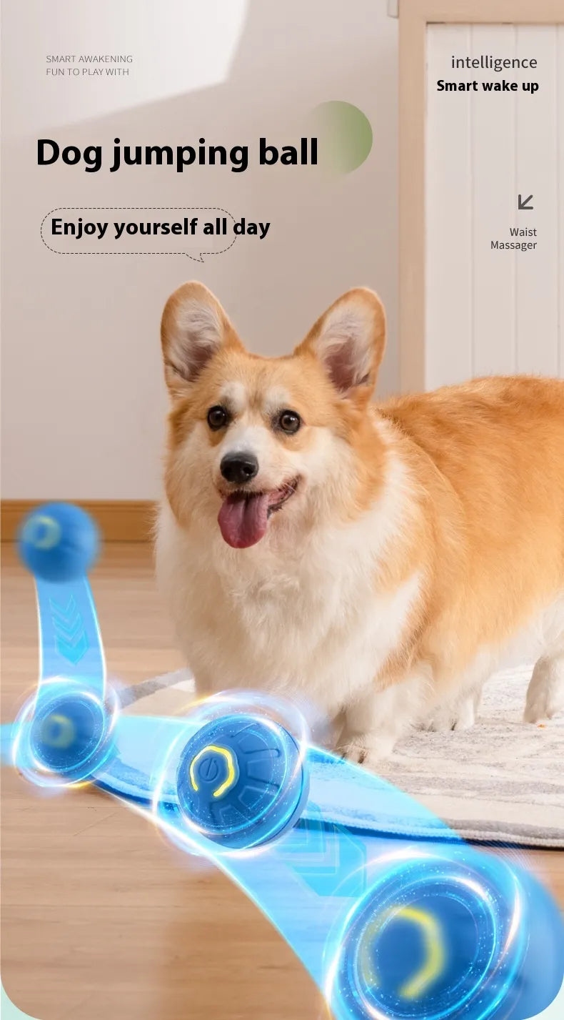 Blue dog jumping ball pictured with blue band of light to depict the automatic motion in front of small dog that is standing with ears perked and panting