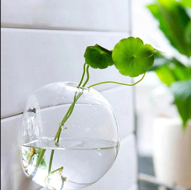 Simple clear glass fishbowl vase hanging on the wall with a plant trailing out of the top