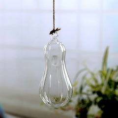 Transparent Hanging Glass Fish Bowl Vase
