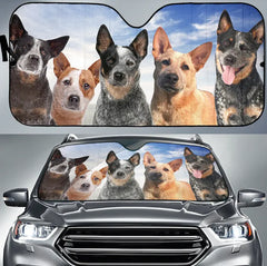 Car sunshade with images of dogs on a vehicle