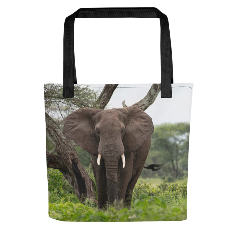 Tote bag with an elephant design on a white background 5% of profits goes to support retired circus elephants