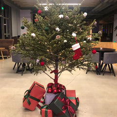 Decorated Christmas tree with ornaments and presents in an indoor setting