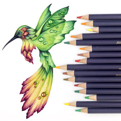 Colorful drawing of a hummingbird with colored pencils on a white background