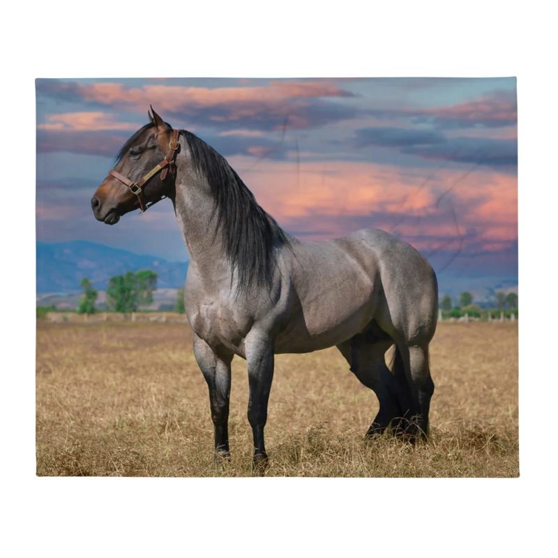 Throw Blanket With a Horse Standing in Front of a Purple Sky