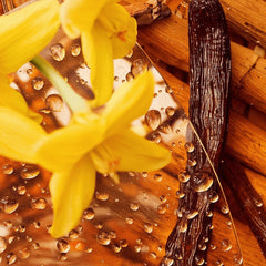 Brume d'Avril — Vanilla Whisper Balm