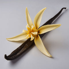 Brume d'Avril — Vanilla Whisper Balm