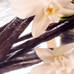 Brume d'Avril — Vanilla Whisper Balm