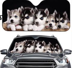 Car sunshade with five Siberian Husky puppies on a black background