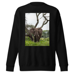 Black Sweatshirt with an elephant photgraphed in front of a twisted tree, standing in grass. 5% of profits goes to support retired circus elephants
