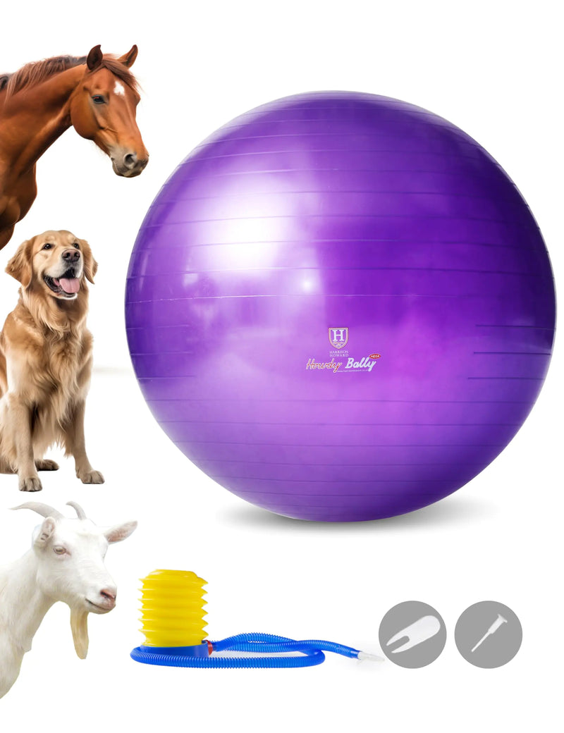 Purple exercise ball with a horse, dog, and goat on a white background