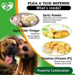 Flea and tick defense product with garlic powder, apple cider vinegar, and thiamine (vitamin B1) on a green background.